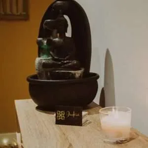 Indara Zen - Recepción